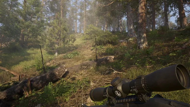 Way of the Hunter 2 Best Weapons: Rifles & Ammo